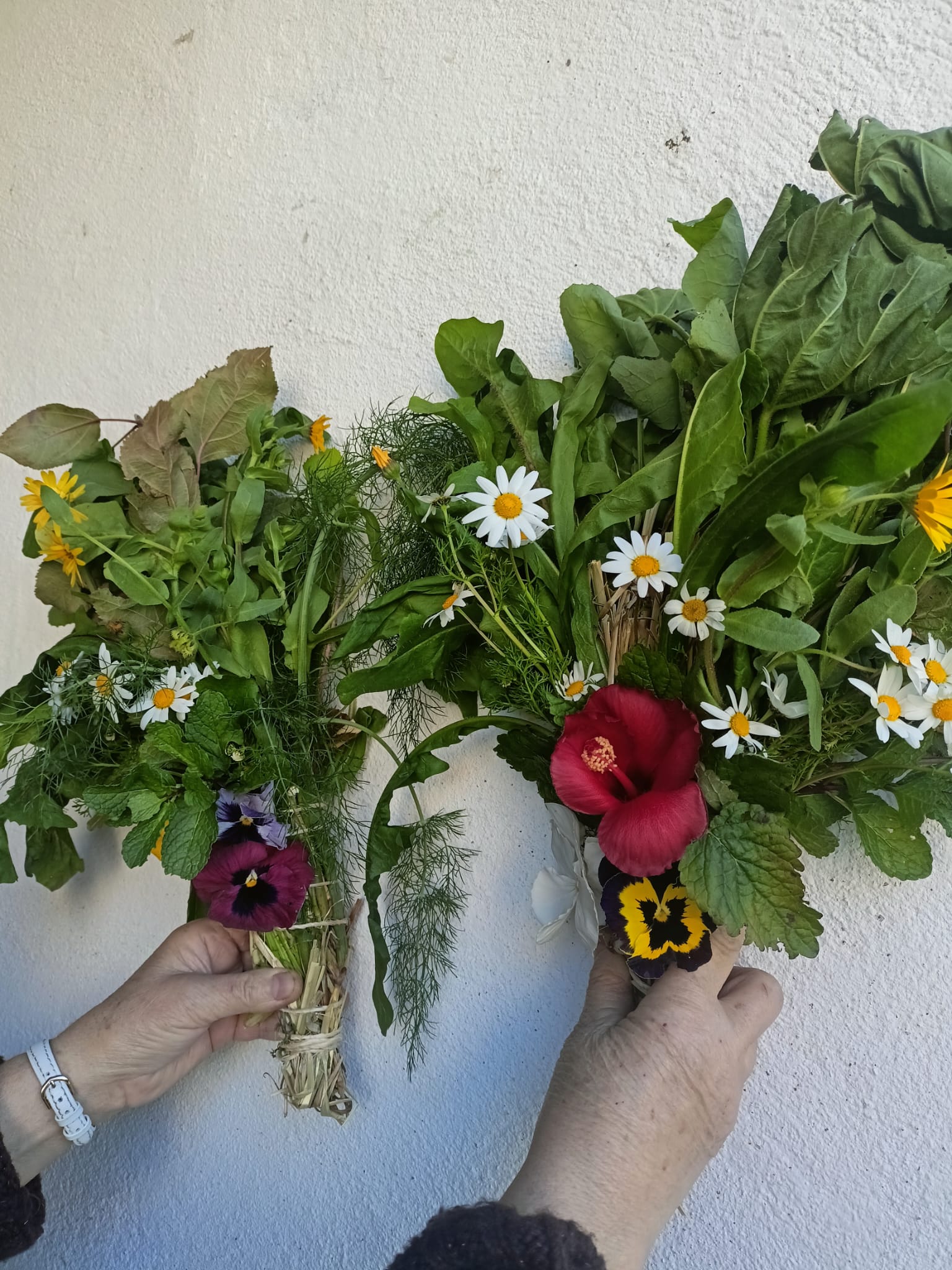 2 Sticks Gulosos - Promo