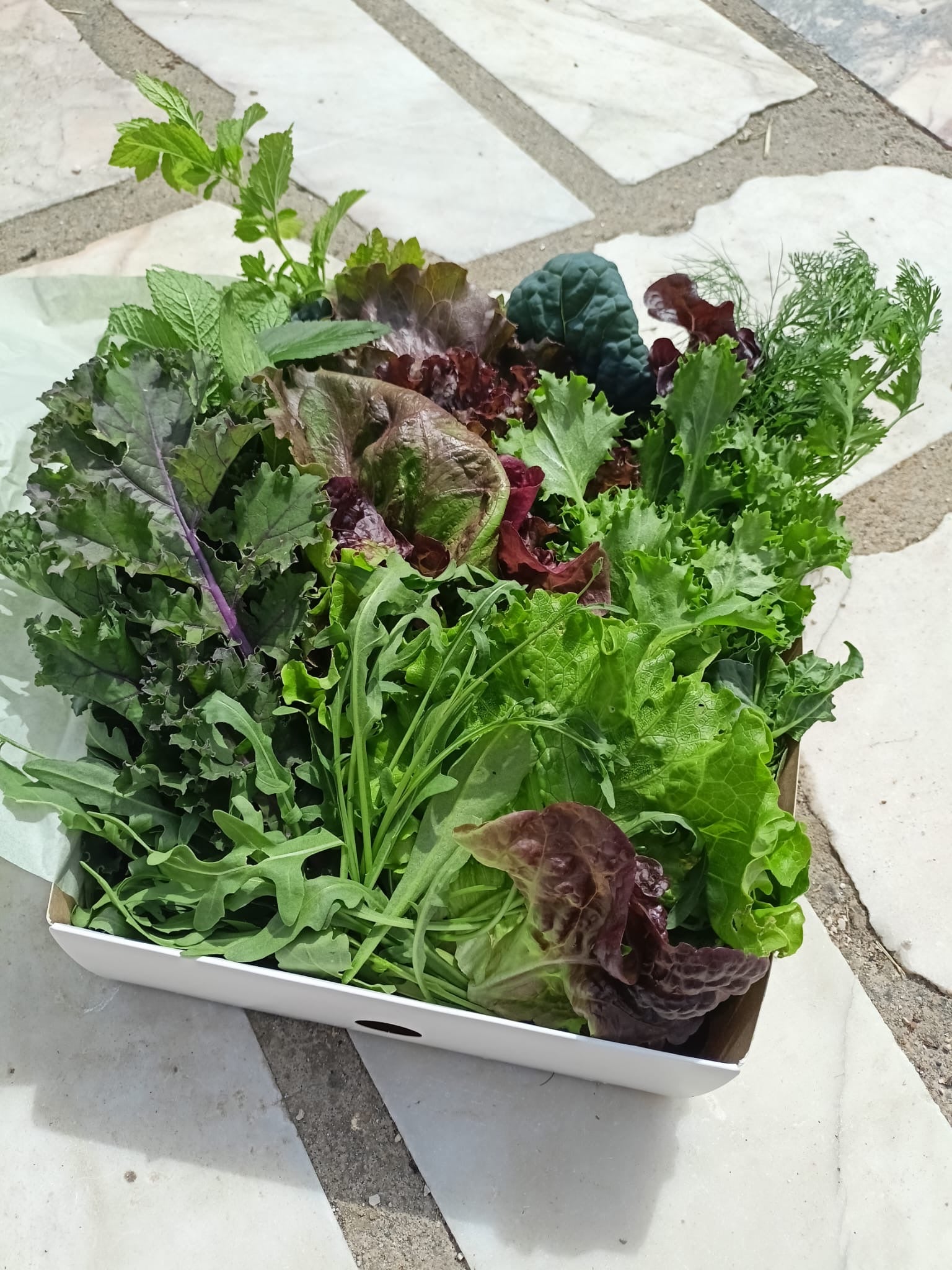 🌿 Caixa de Vegetais Frescos & Aromáticas Biológicas - 450g