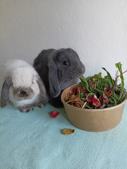 Herb and Flowers Salad