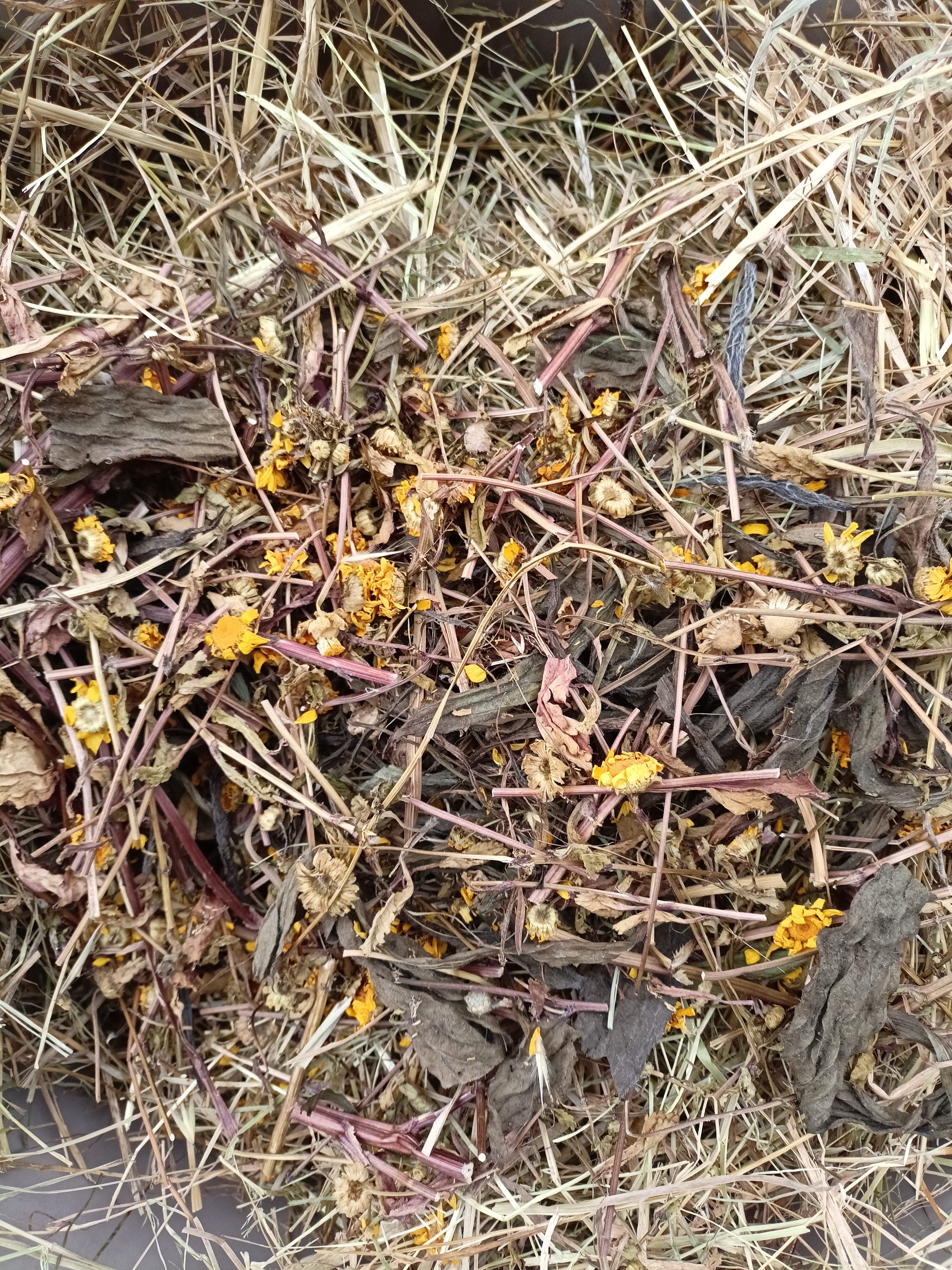 Feno Bio e Orgânico Raygrass, Aromatizado com Calêndula e Tanchagem 600grs