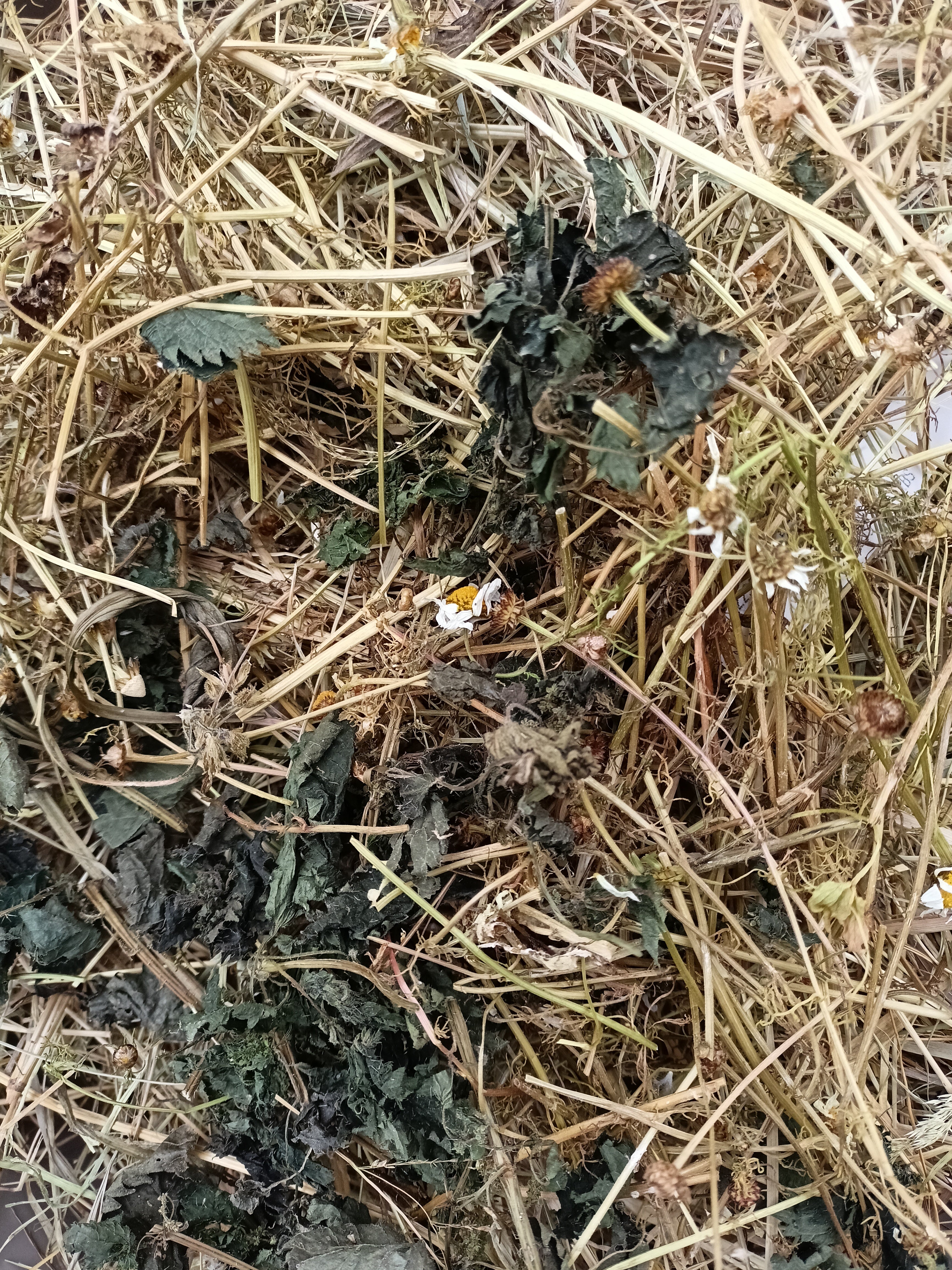 Feno Bio e Orgânico Raygrass, Aromatizado com Camomila e Urtiga 600grs