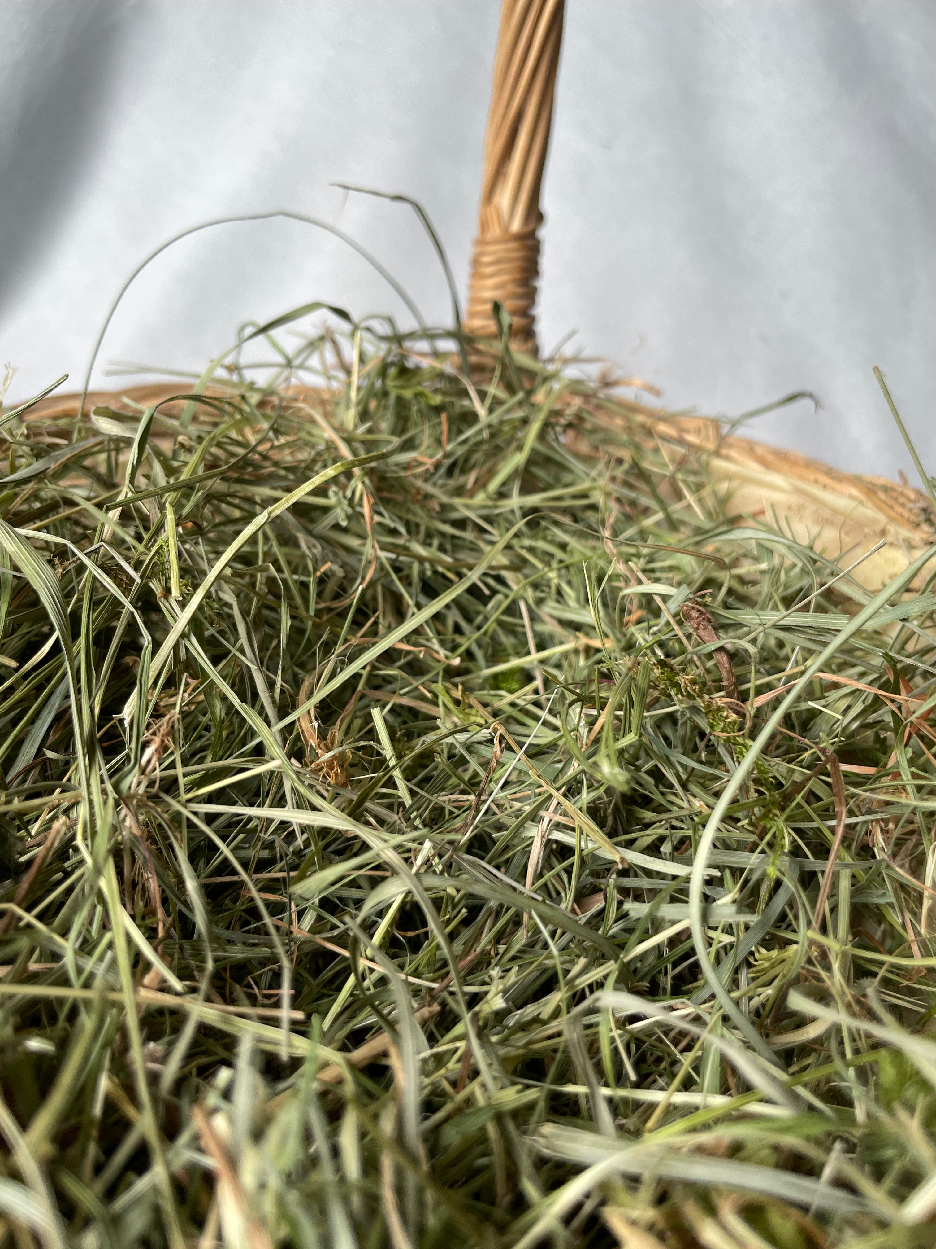 Feno Prado Premium 2°corte 🌿 500g