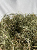 Feno Prado Premium 2°corte 🌿 500g