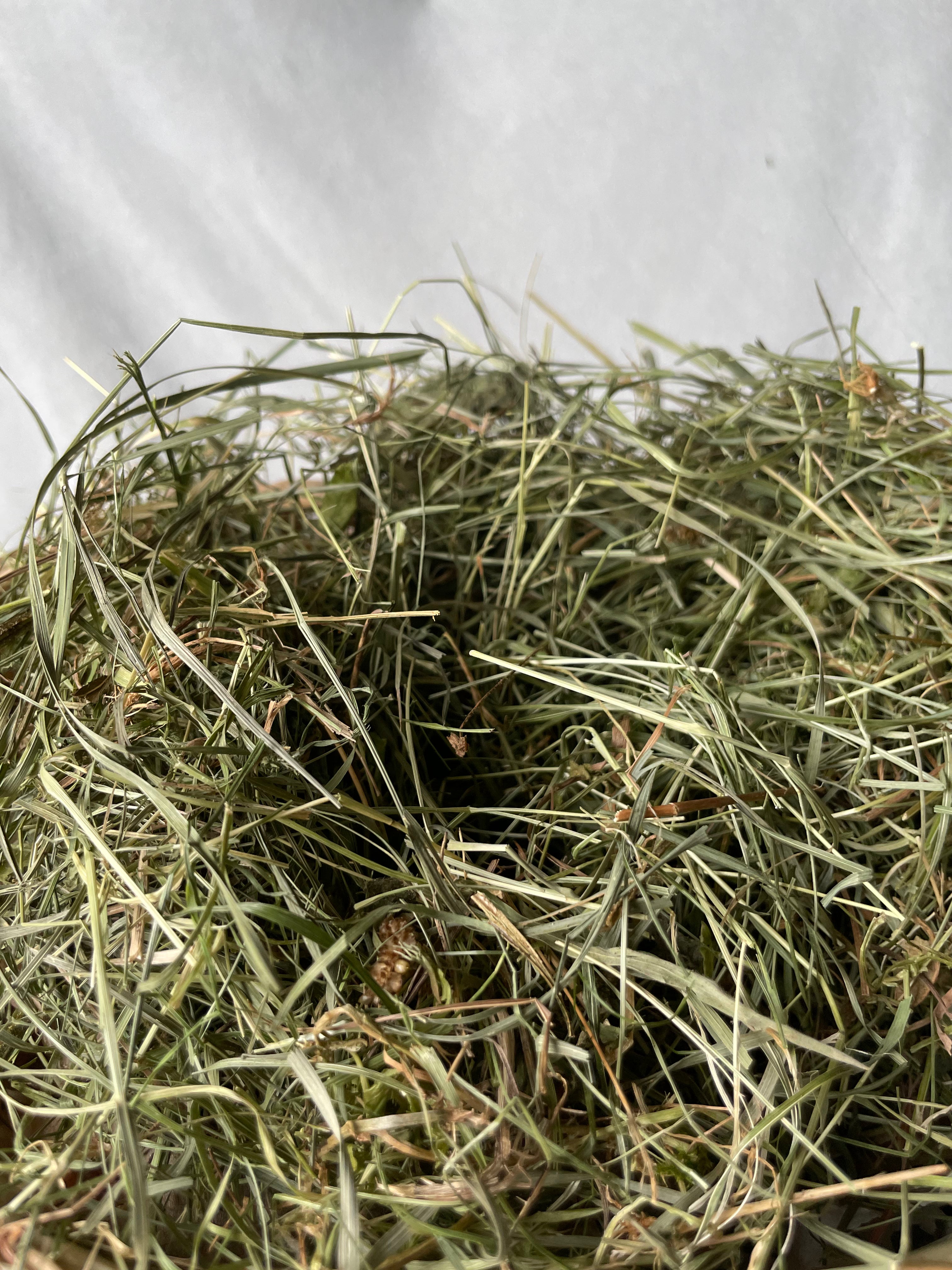 Feno Prado Premium 2°corte 🌿 500g