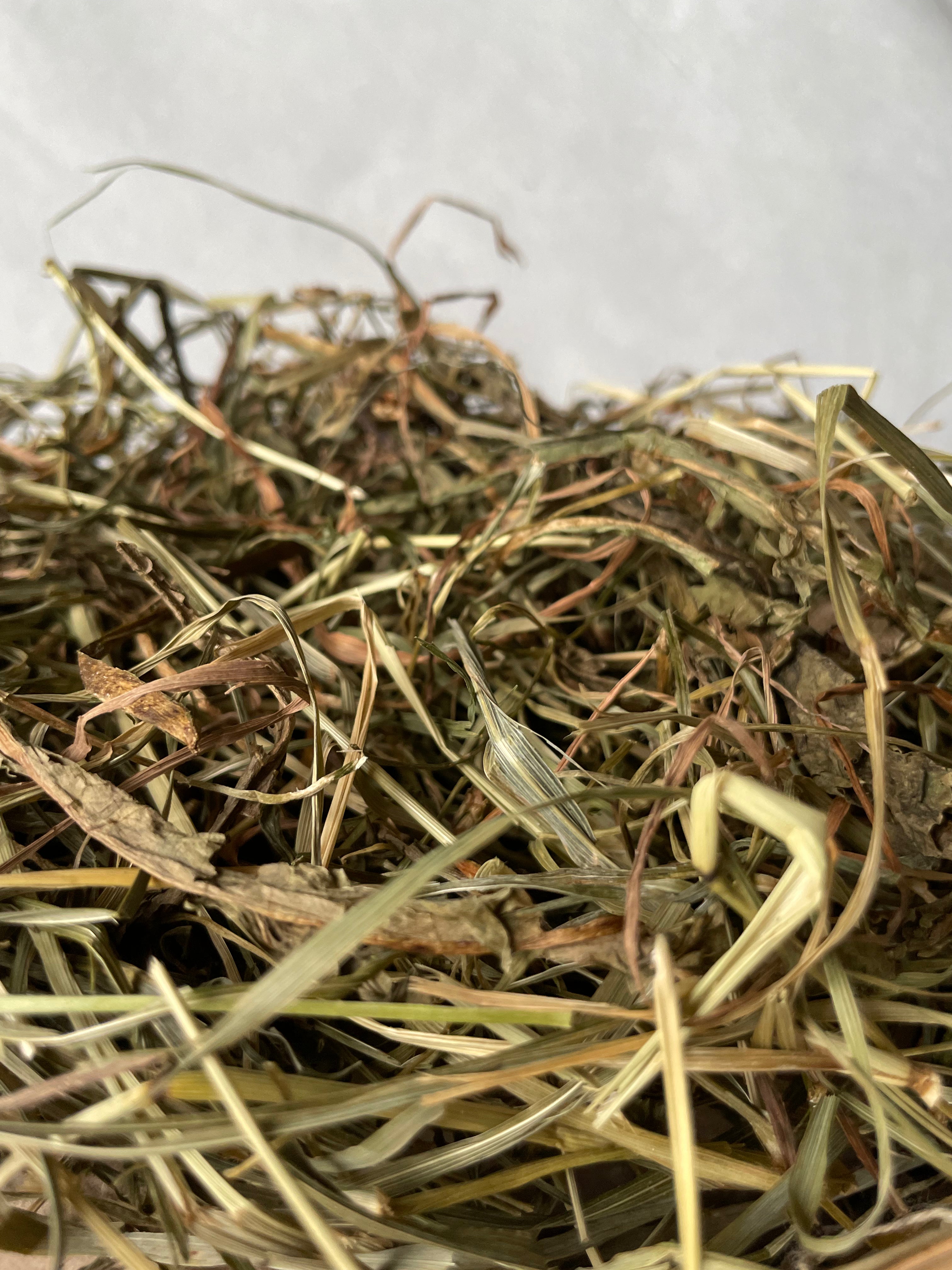 Feno Timothy 2.º Corte 🌾 500g