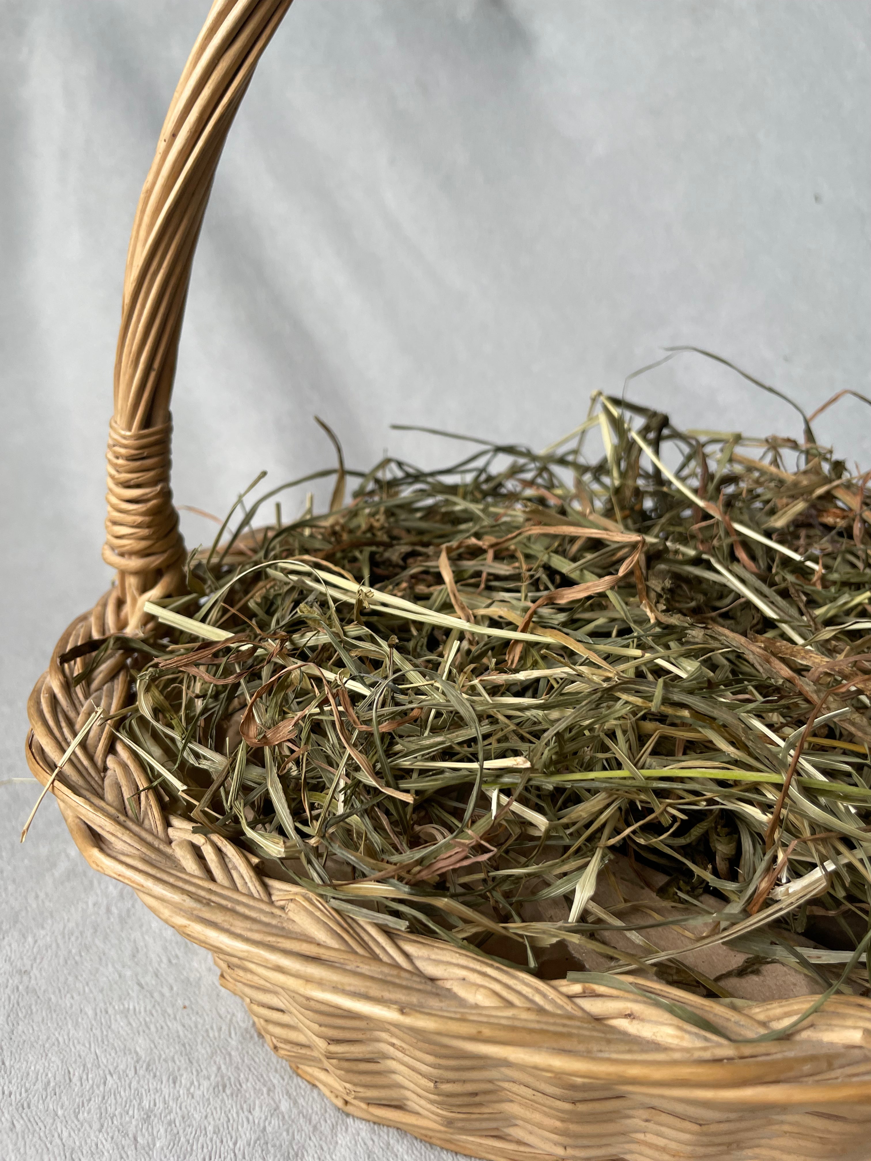 Feno Timothy 2.º Corte 🌾 500g