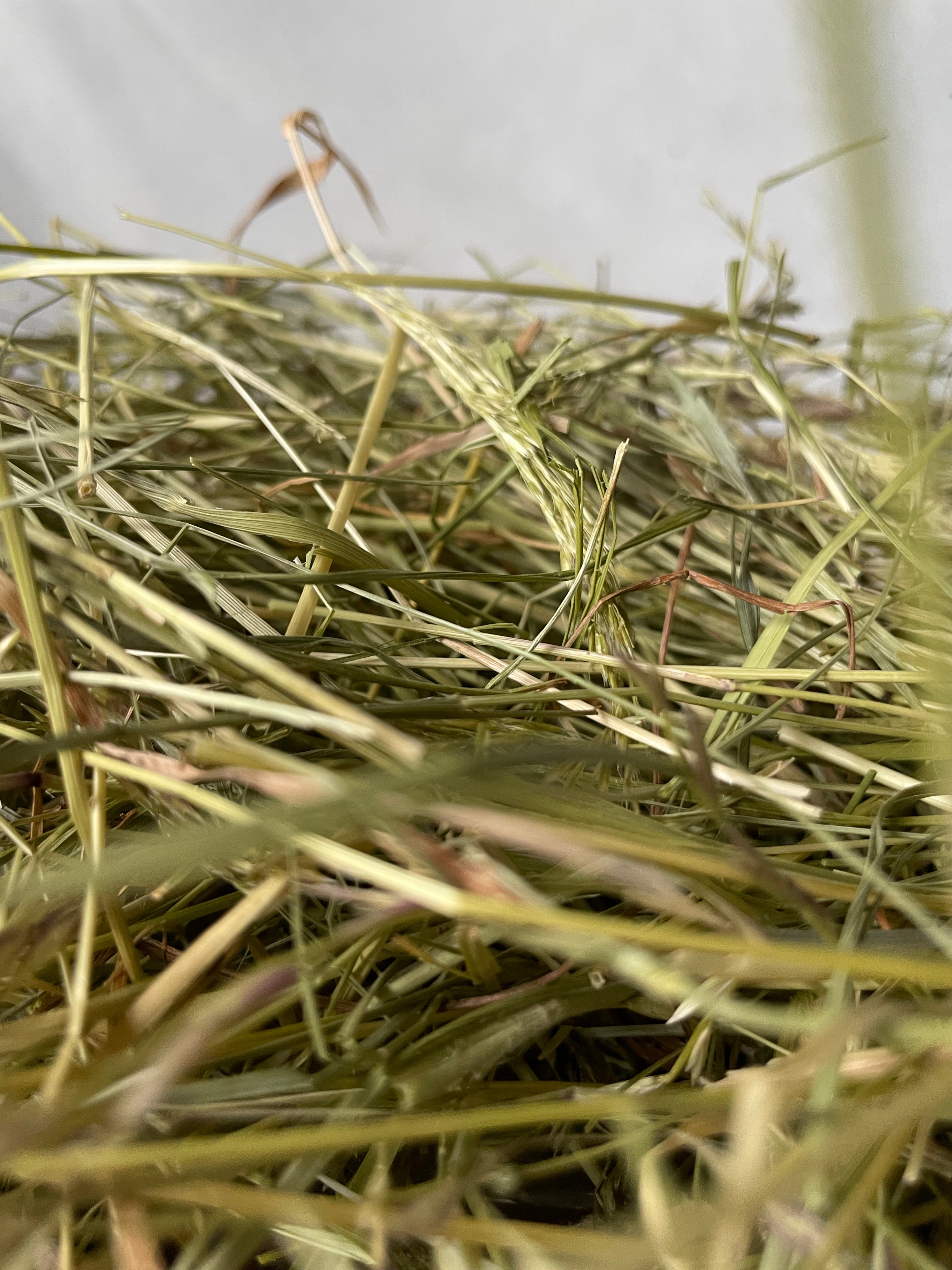 Feno da Montanha 1.º Corte 🏔️ 1kg