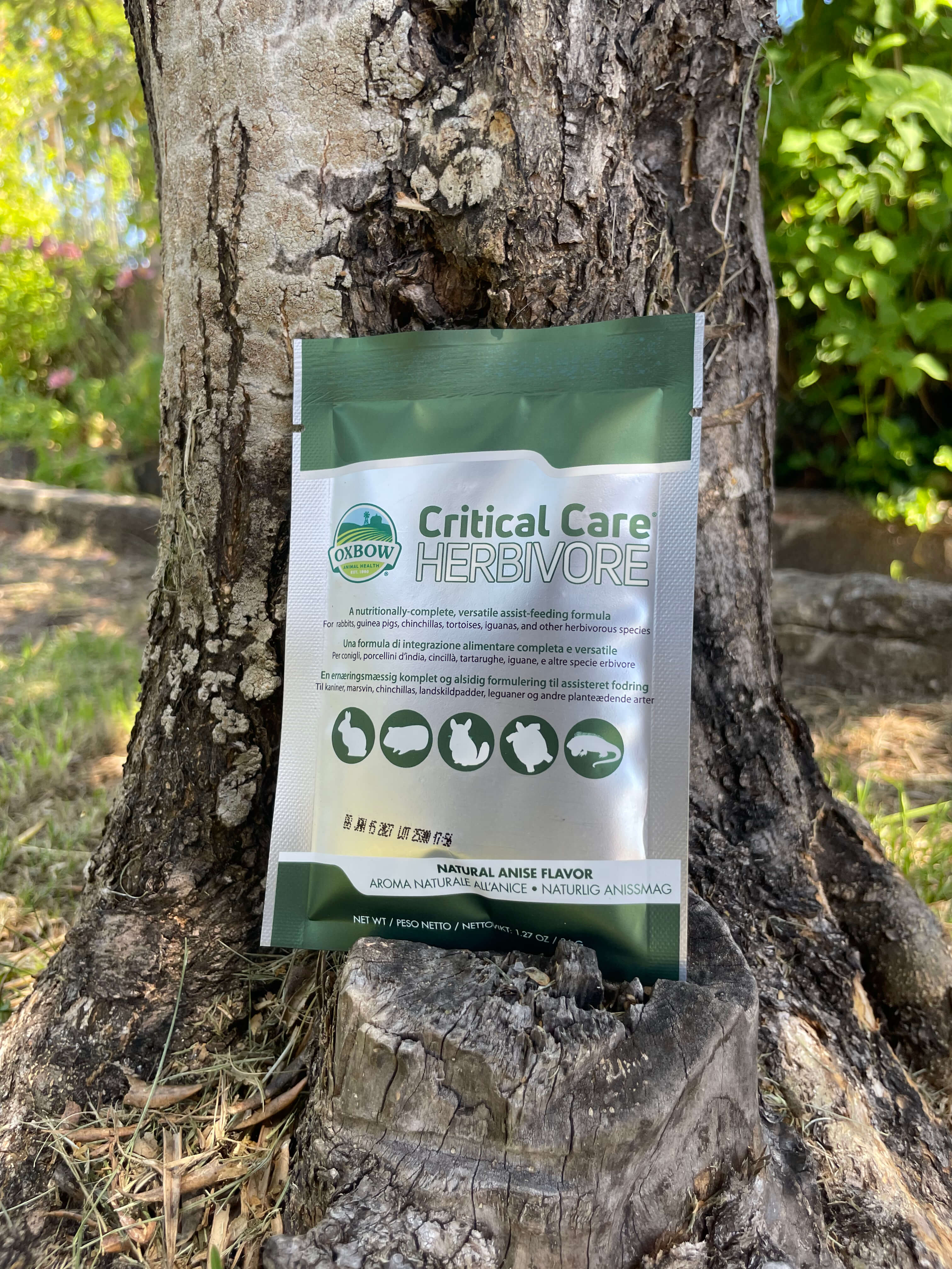 ✚ Oxbow Critical Care 36g 🌿🐰