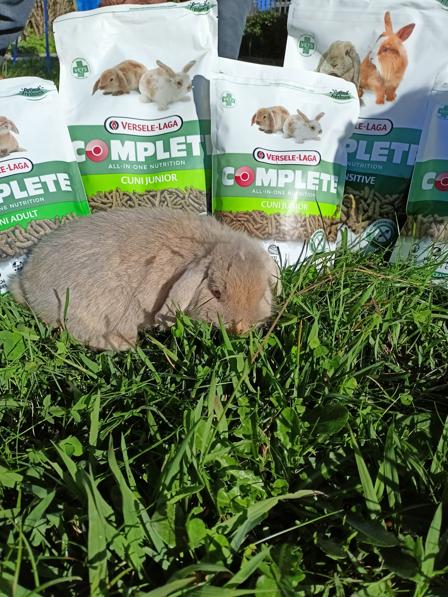 Ração Versele Laga Cuni complete Adult