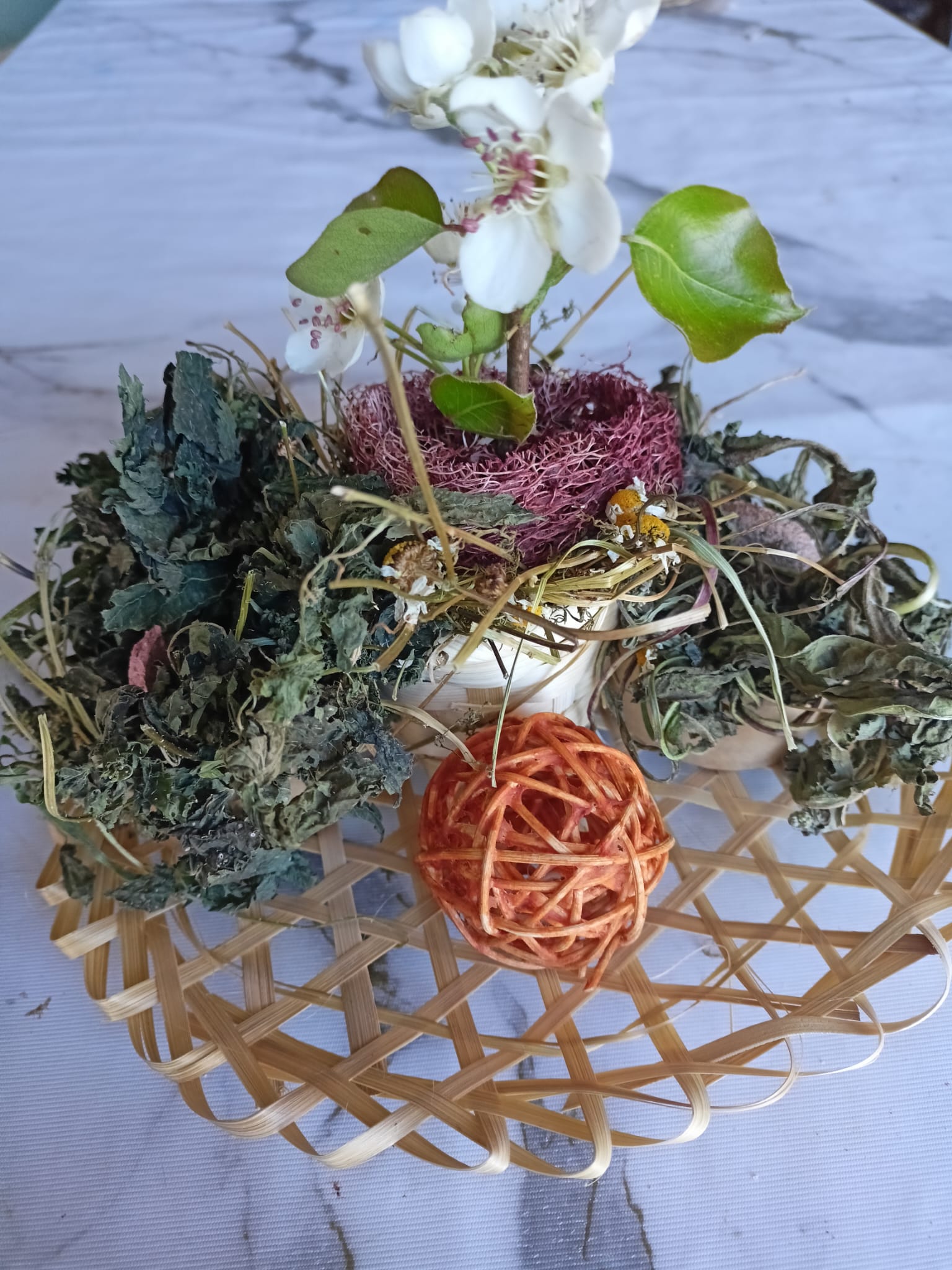 Dish for Spoiled Bunnies 🌿🍽️