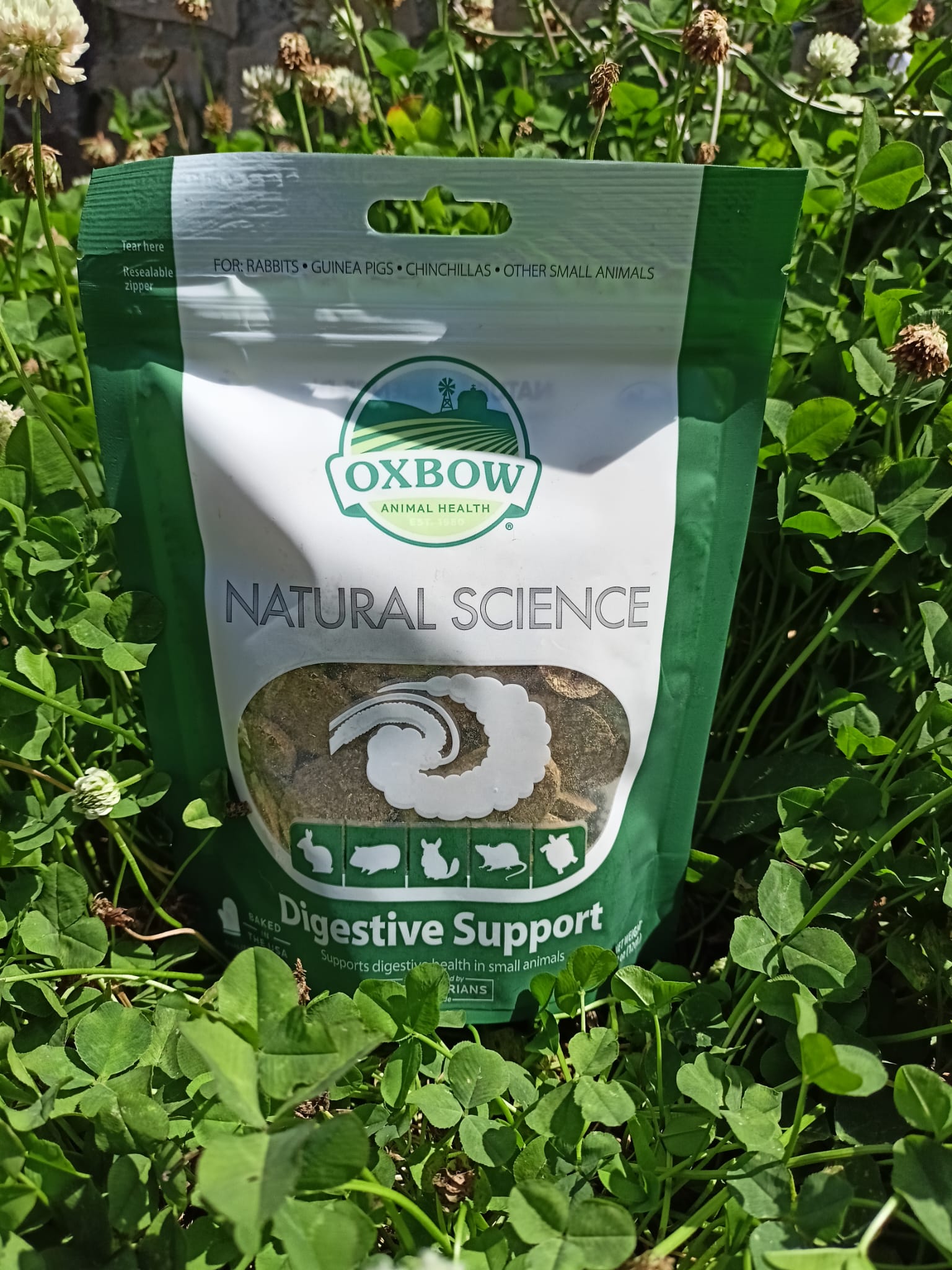 Oxbow Natural Science Digestive Support 🌿💩