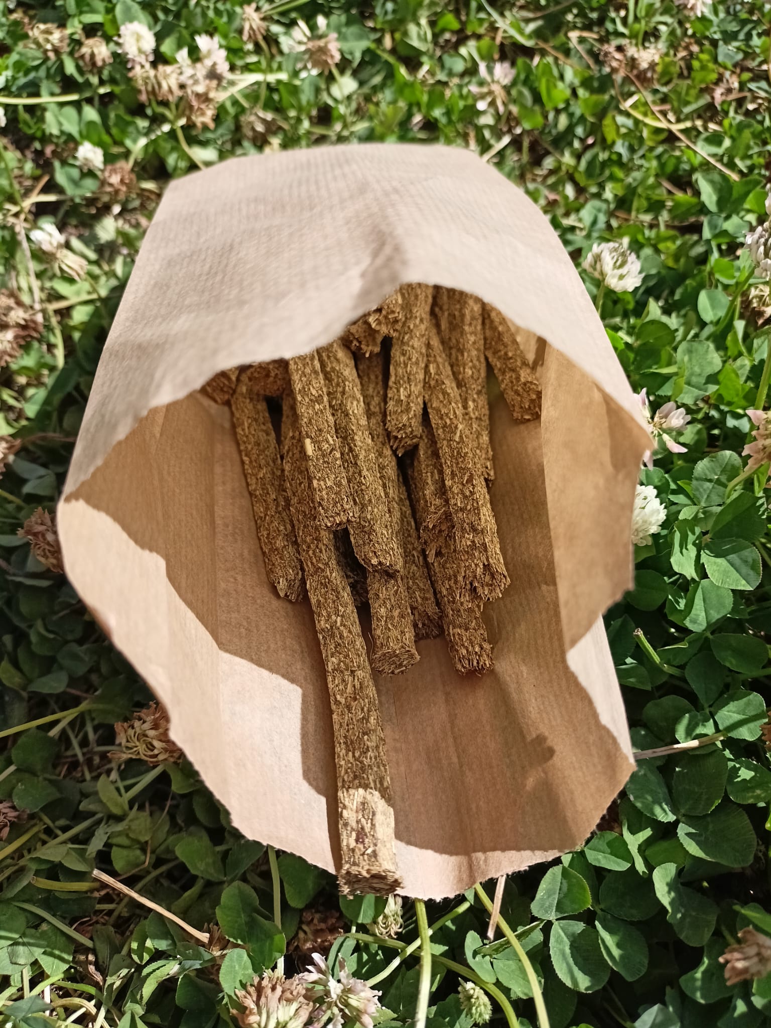 Selective Naturals Fiber Sticks 🌿🐰- 100grs