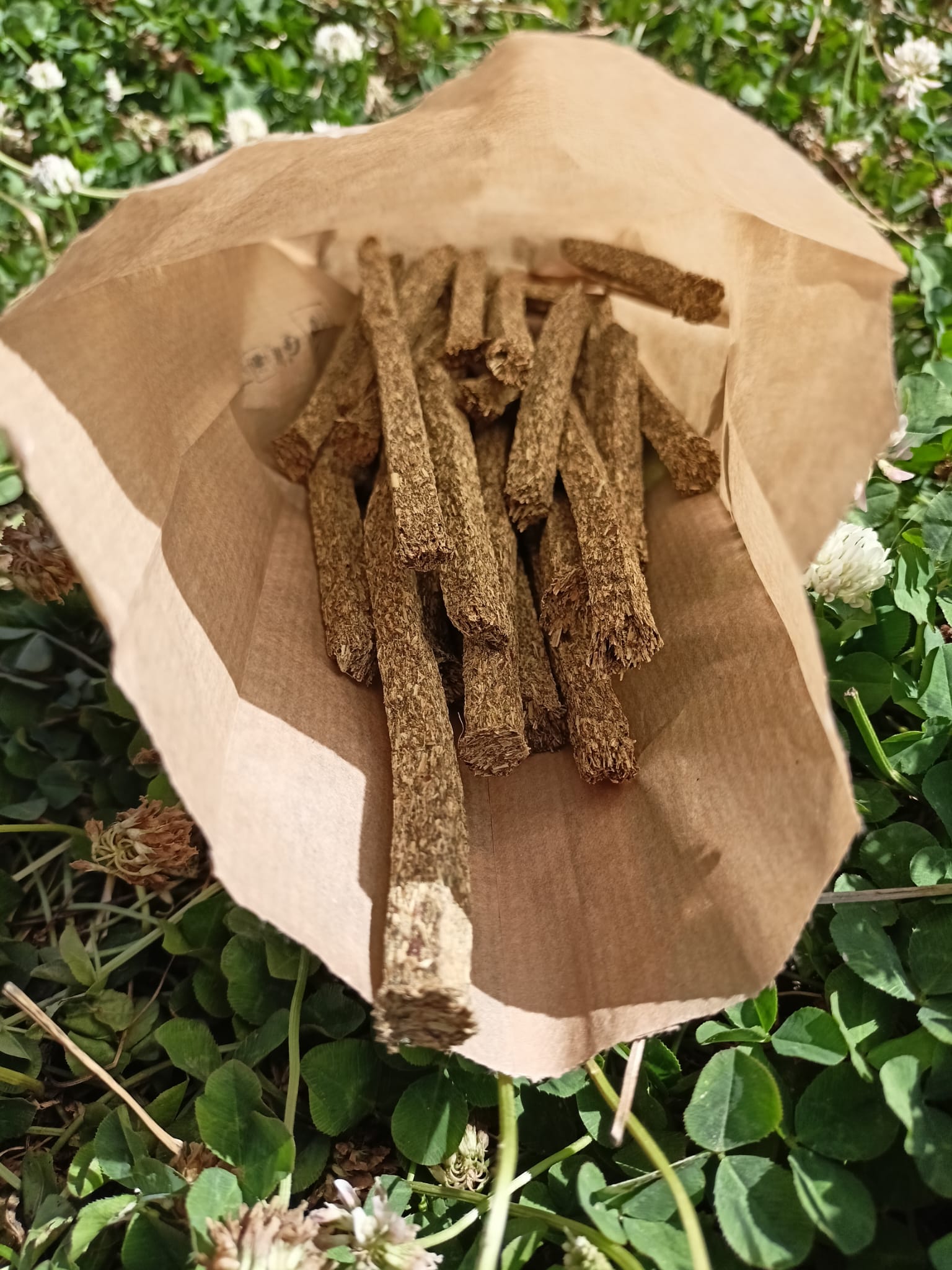 Selective Naturals Fiber Sticks 🌿🐰- 100grs