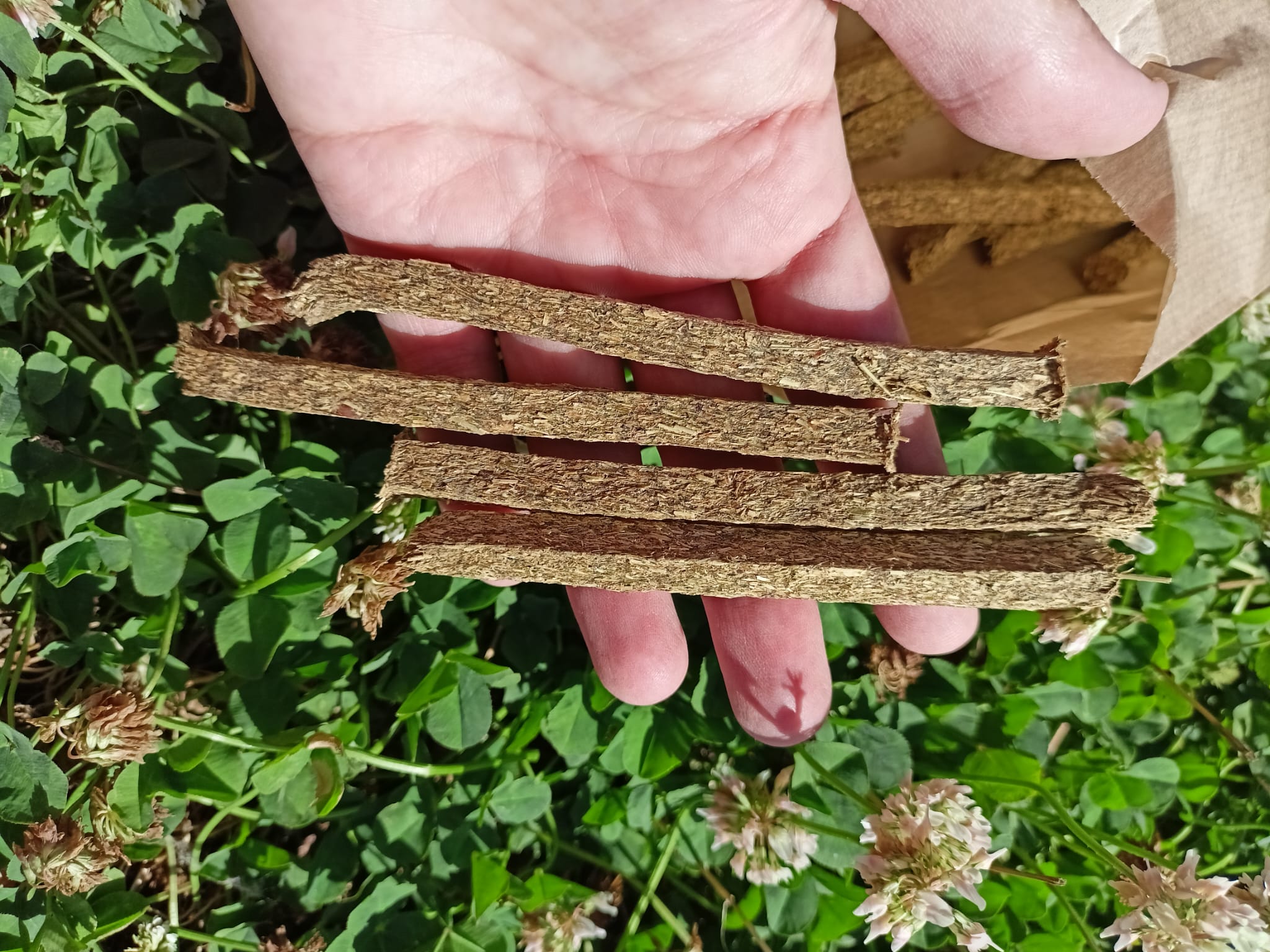 Selective Naturals Fiber Sticks 🌿🐰- 100grs