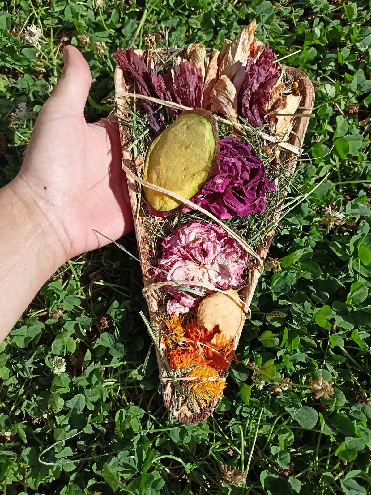 🍕 Slice of Pizza