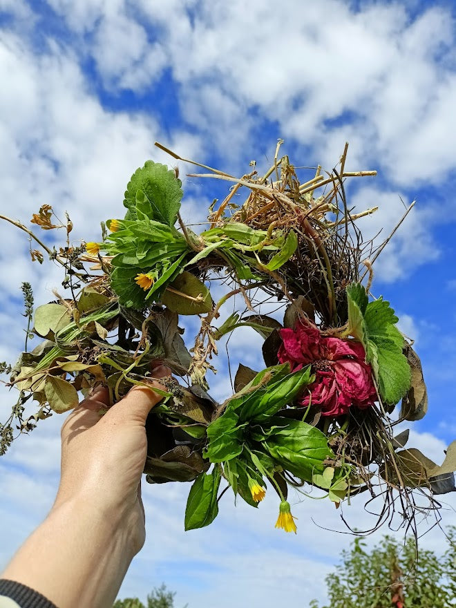 Coroa de salgueiro, pereira ou macieira