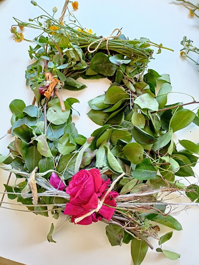 Coroa de salgueiro, pereira ou macieira