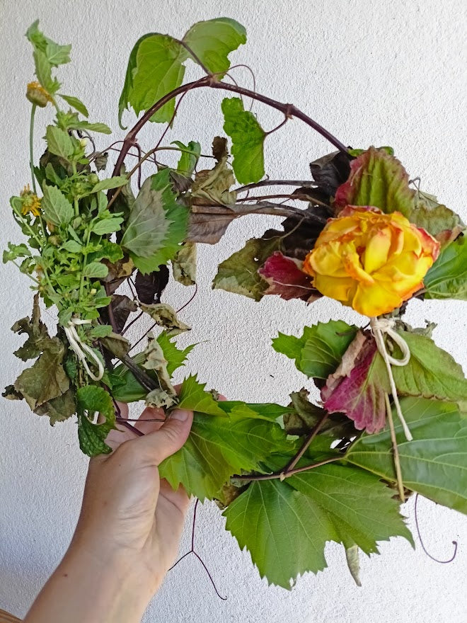 Coroa de salgueiro, pereira ou macieira