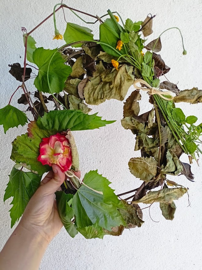 Coroa de salgueiro, pereira ou macieira