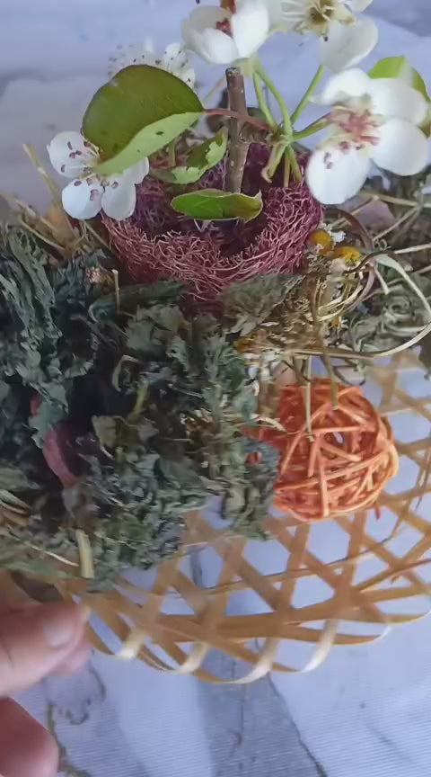 Dish for Spoiled Bunnies 🌿🍽️